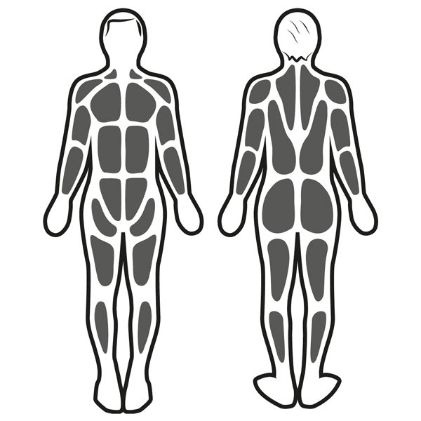 Estimulación muscular