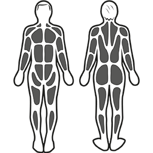 Estimulación muscular